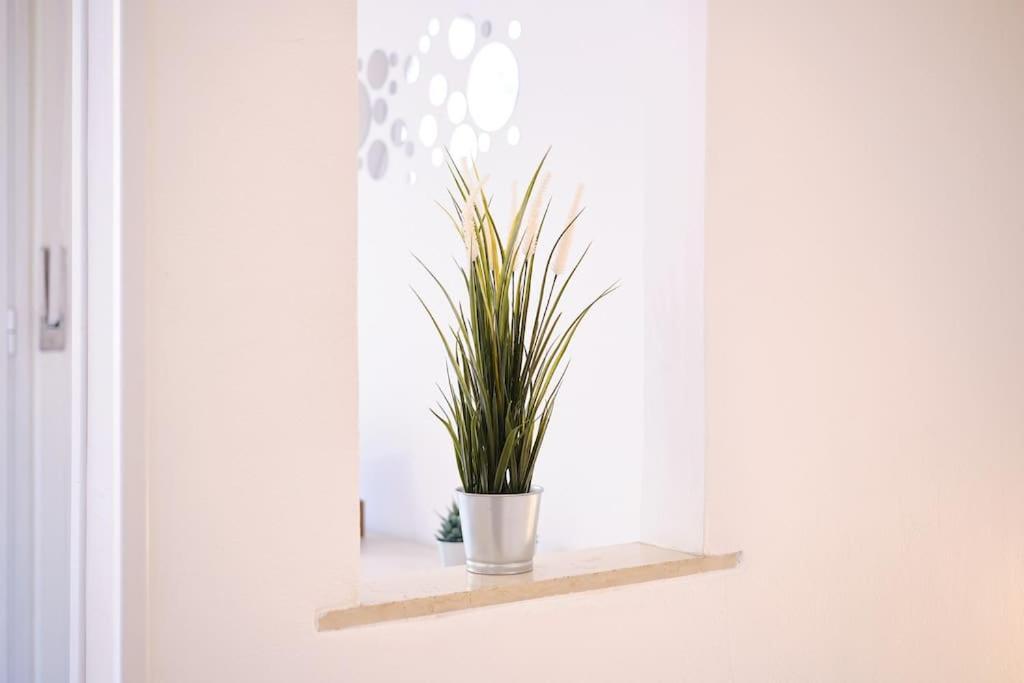 Tuscolana Blu - Grazioso Monolocale Apartment